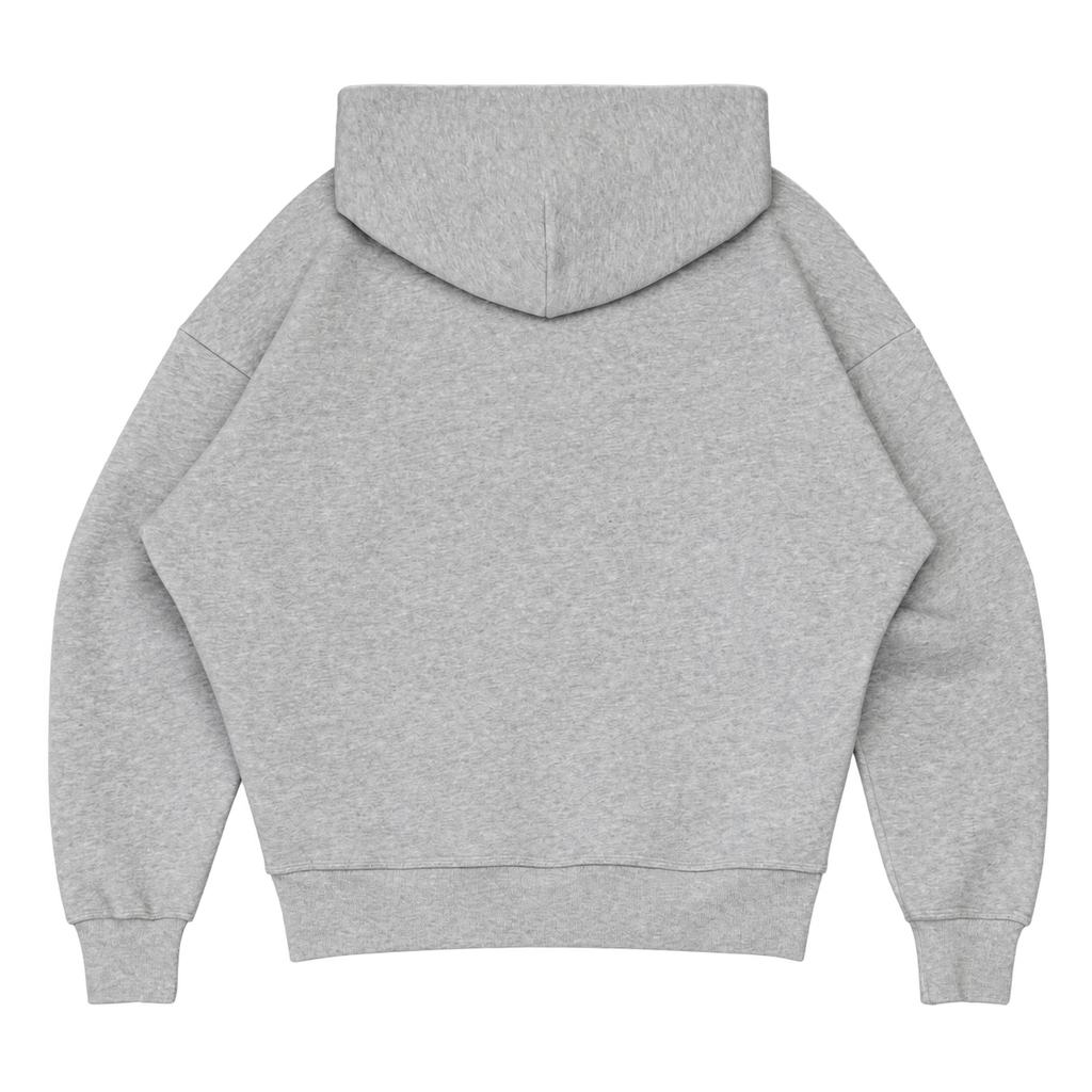 DISCO HOODIE GRIS