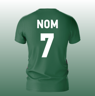 Maillot Concept QLF VERT