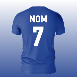 Maillot Concept QLF BLEU
